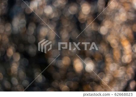 Background images, large palm tree trunks taking pictures at night after rain Background images, large palm tree trunks taking pictures at night after rain 62668023