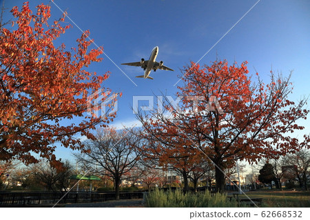 Airplane in the sky where you can feel autumn 62668532