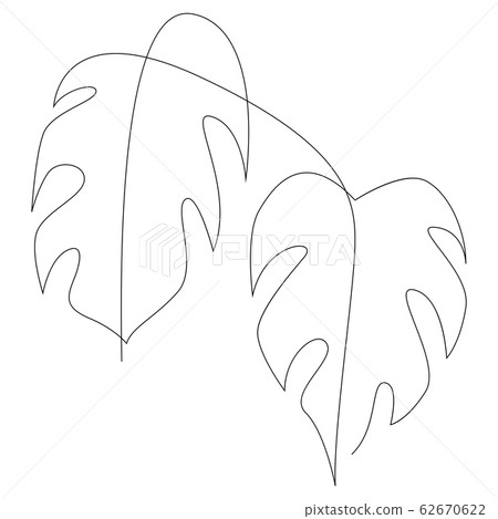 Monstera leaf one line art. Contour single line... - Stock Illustration  [62670622] - PIXTA