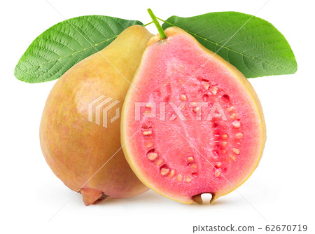 Isolated yellow cut guava on a branch 62670719