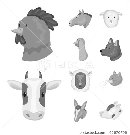 Vector illustration of countryside and homestead sign. Collection of countryside and breeding stock vector illustration. Vector illustration of countryside and homestead sign. Collection of countryside and breeding stock vector illustration. 62670796