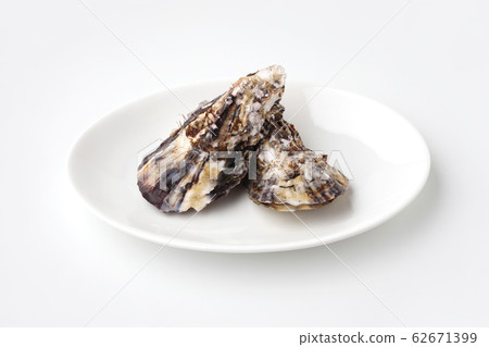 Boiled oyster oyster on a plate white background Boiled oyster oyster on a plate white background 62671399