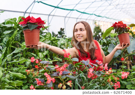Young woman in a greenhouse smiling holds in her Young woman in a greenhouse smiling holds in her 62671400