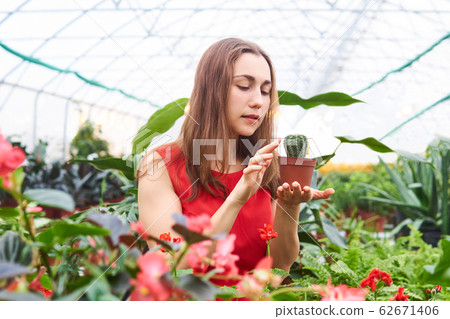 young woman carefully touches a cactus 62671406