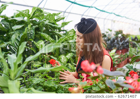 young woman looks at a flower in a greenhouse 62671407