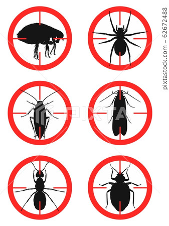 Set of warning signs with insects. Pests. Vector illustration 62672488