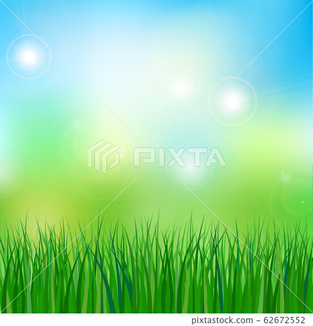 vector illustration of meadow 62672552
