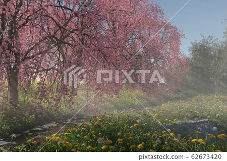 Cherry blossoms and willows stand by the stream running through the spring meadow. 62673420