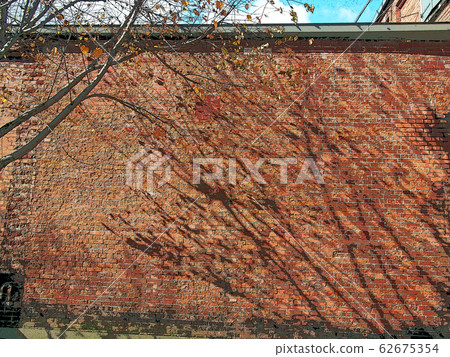 守武森林 守武森林 62675354