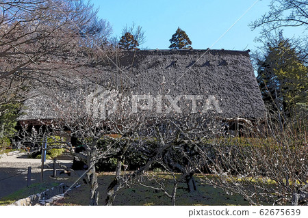 Higashiyama Zoo and Botanical Garden 62675639