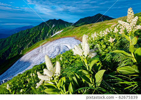 Koibaiso and Mt.Dinichi of Iide Mountains and Mt. Onishi 62675839