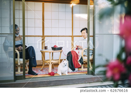 Senior couple relaxing with a dog 62676616