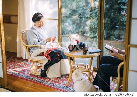 Senior couple relaxing with a dog 62676678