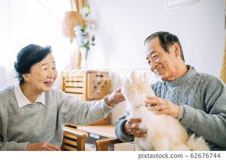 Dog and senior Dog and senior 62676744