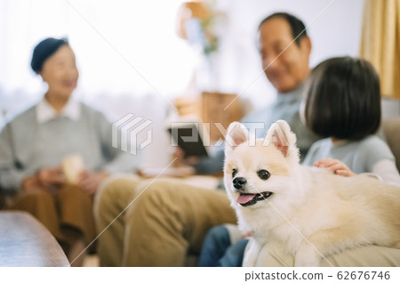 狗和高級 狗和高級 62676746