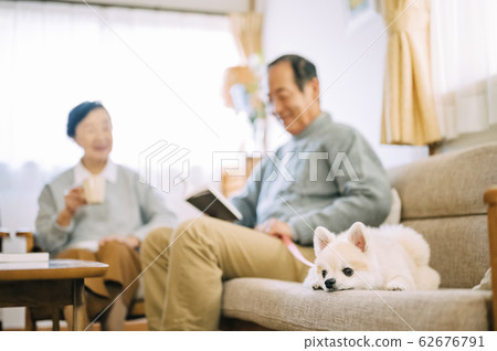 狗和高級 狗和高級 62676791