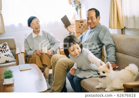 Dog and senior Dog and senior 62676818