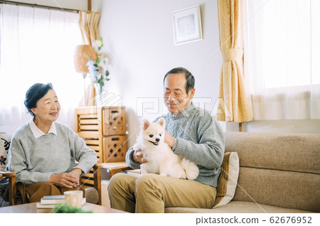 Dog and senior Dog and senior 62676952