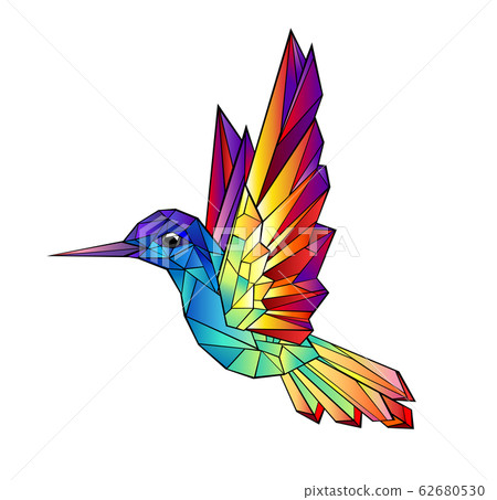 Rainbow hummingbird 62680530