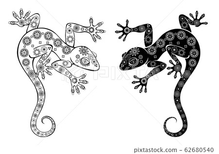Two monochrome geckos 62680540
