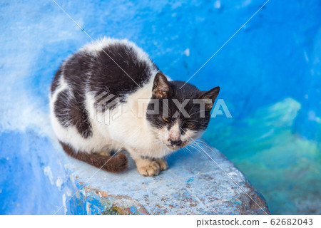 摩洛哥藍城沙夫沙萬 62682043