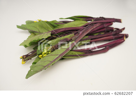 Red cabbage moss Red cabbage moss 62682207