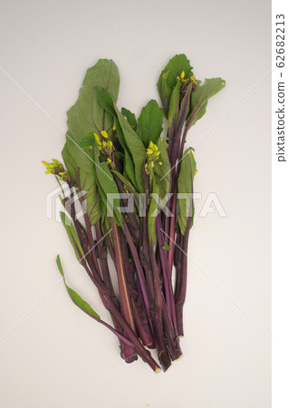 Red cabbage moss Red cabbage moss 62682213