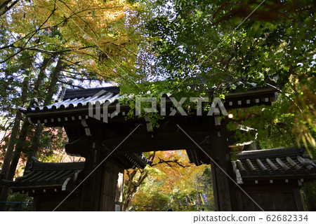 Akayama Zen-in 62682334