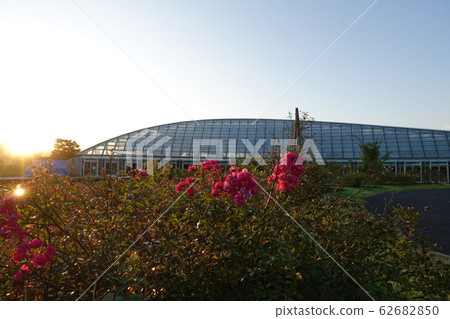 Mogami River Furusato Comprehensive Park 62682850