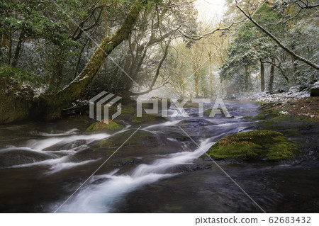 Kikuchi Gorge 62683432
