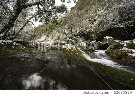 Kikuchi Gorge 62683559
