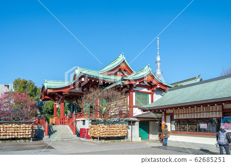 東京初春的龜戶十神社 62685251