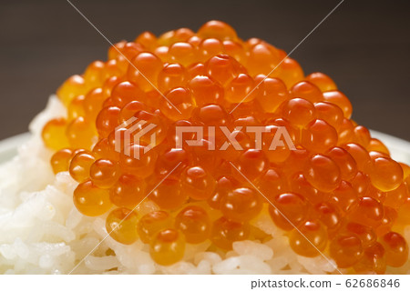 How much for a bowl 62686846