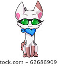 Vector cute white cat in green glasses 62686909