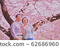 Cherry blossom, cherry tree, cherry-blossom viewing 62686960