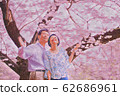 Cherry blossom, cherry tree, cherry-blossom viewing 62686961