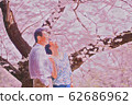 Cherry blossom, cherry tree, cherry-blossom viewing 62686962
