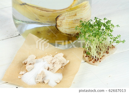 Banana peel, yeast and sugar in glass of water Banana peel, yeast and sugar in glass of water 62687013