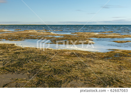 Lake Kamyslybas or Kamyshlybash 62687083