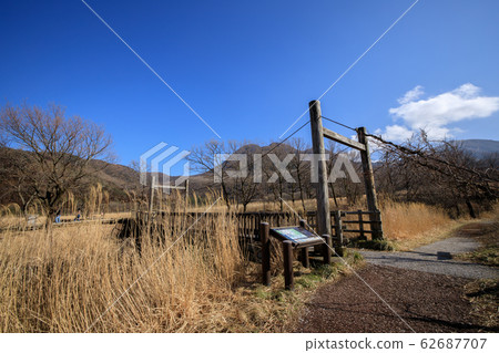 《大分縣塔德巴拉濕地》高壽山脈長谷原塔德巴拉濕地 《大分縣塔德巴拉濕地》高壽山脈長谷原塔德巴拉濕地 62687707