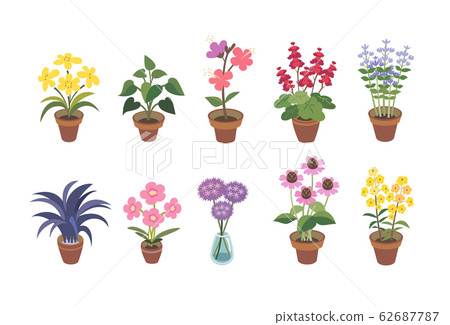 室內及室外園藝盆栽 室內及室外園藝盆栽 62687787