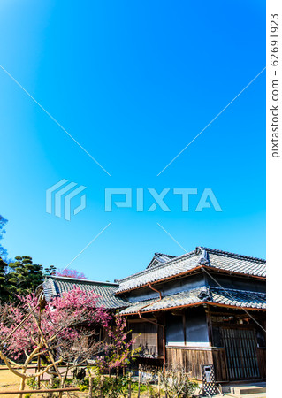 Jindaikoji Nabeshima House and Hikanzakura [Unzen City, Nagasaki Prefecture] 62691923