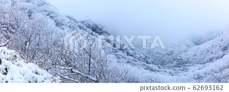 妙密山全景拍攝的山間小道的雲仙冬景[長崎縣雲仙市] 62693162