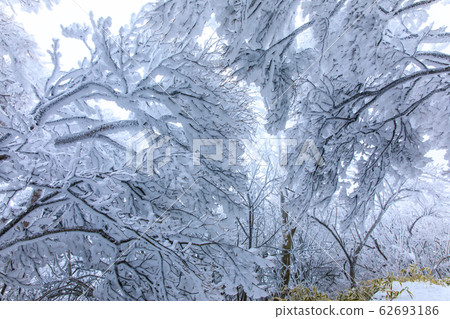 Unzen from Mt. Myoken winter scenery [Unzen City, Nagasaki Prefecture] 62693186