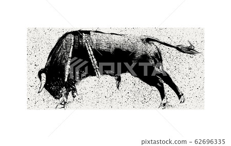 Bull during corrida in Portugal 62696335