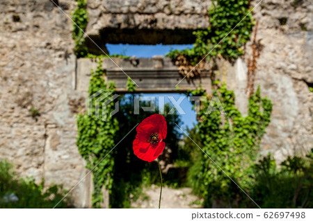 A red flower in front of ruins A red flower in front of ruins 62697498