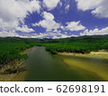 A magnificent river on Iriomote Island 62698191
