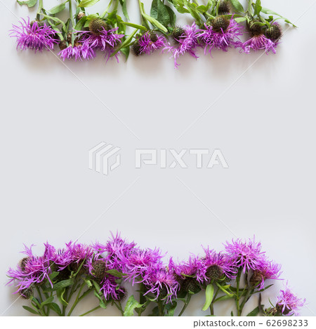 Floral pattern of purple and pink flowers on grey Floral pattern of purple and pink flowers on grey 62698233