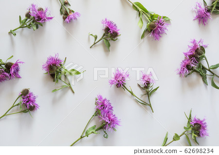 Floral pattern of purple and pink flowers on grey Floral pattern of purple and pink flowers on grey 62698234