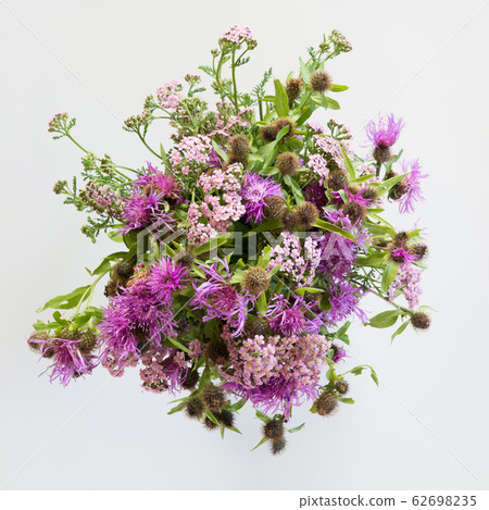 Bouquet of wild purple flowers on grey. Close up. Bouquet of wild purple flowers on grey. Close up. 62698235